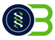 One Body Fitness Store