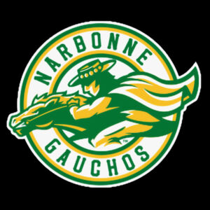 NARBONNE HIGH SCHOOL - CIRCLE LOGO - SNAPBACK HAT - $ME2ZVJ$ Design